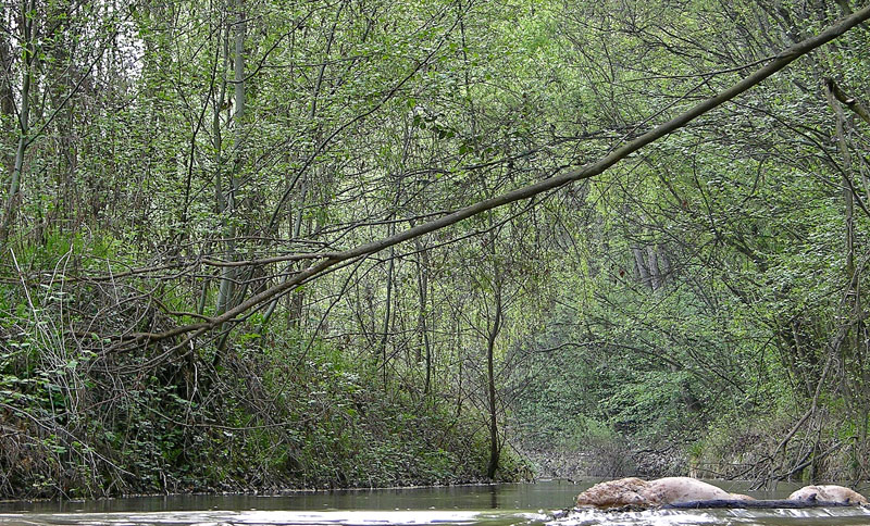 Ritrovamenti sabato 14 aprile.